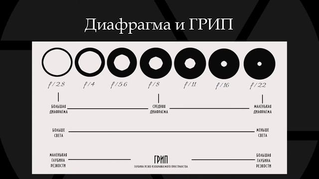 Что такое диафрагма
