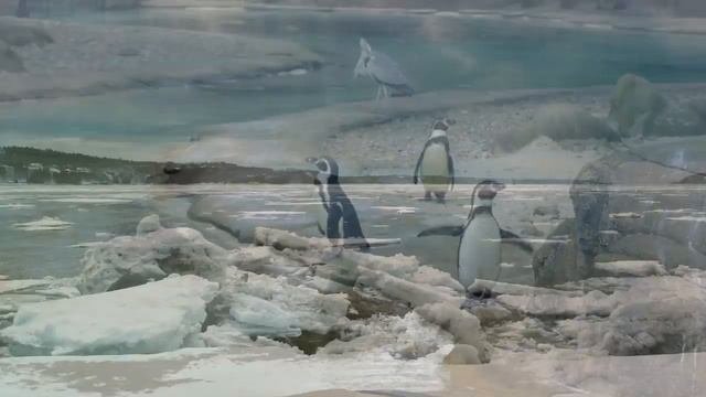 10 Самых мощных укусов на планете за всю историю