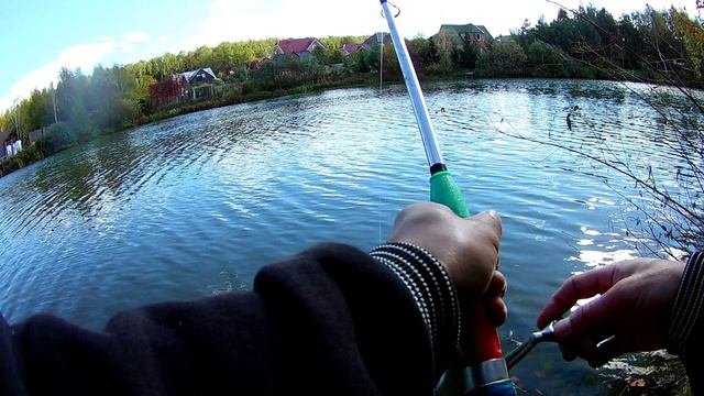 🍁ОСЕННЯЯ 🎣ЩУКА. Горячие Копчение👍