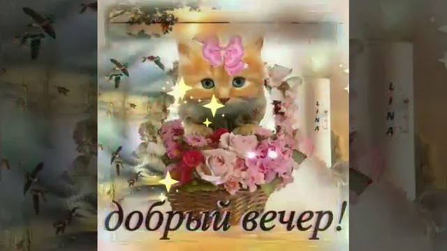 #Вечер добрый, пожелания