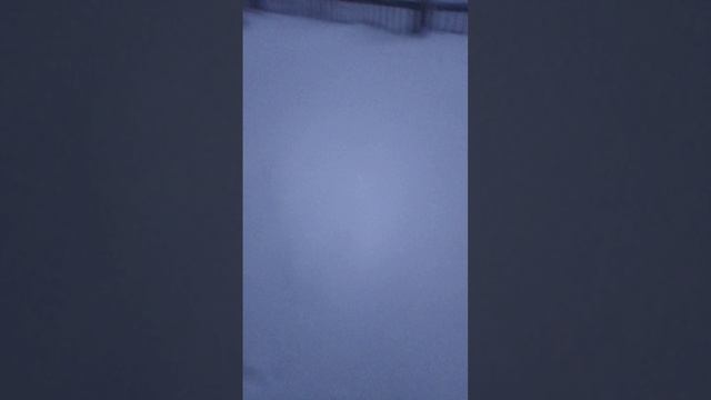 Прогулка со смешными моментами.Гость под домом.Обзор на сани.