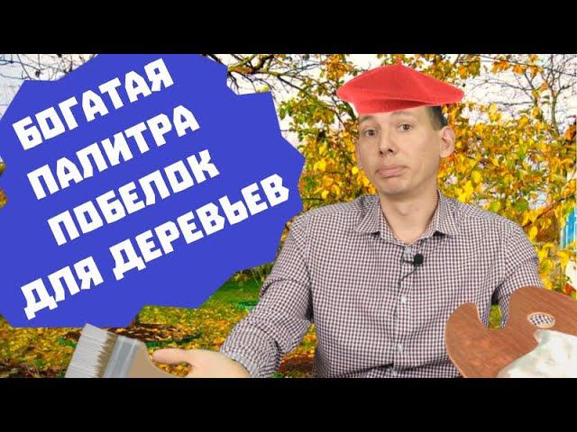 Всё о побелке деревьев осенью! Чем белить? Когда? И зачем?