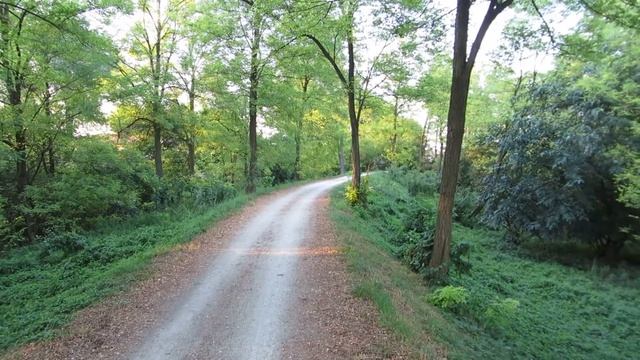 Canon PowerShot SX260 HS video test 1080p