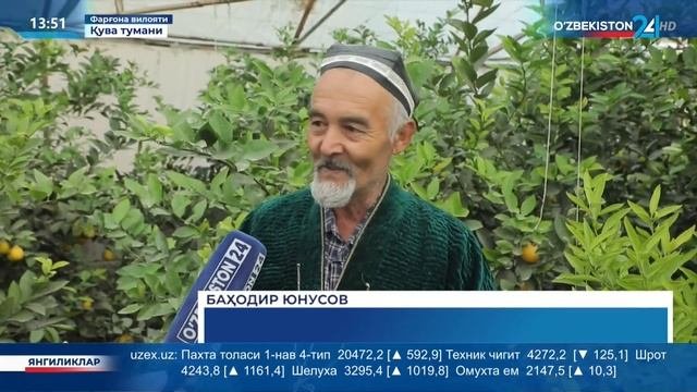 Махсус репортаж  Томорқа - даромад манбаи