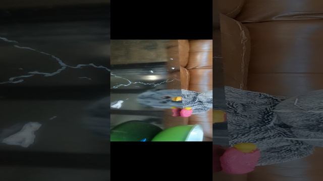 VID_20240909_111715.mp4