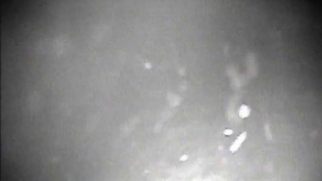 Съемка подводной камерой для рыбалки: Налим на мормышку, Рыбинское водохранилище 2016 год