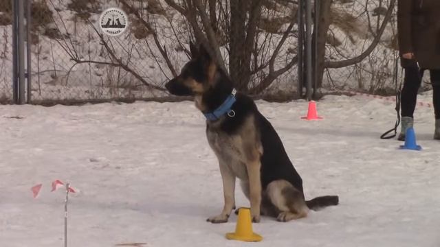 17.03.2018 "Шаг за Шагом-2107". Класс "Школа". Крюкова Елена. Тарасевич Анастасия.