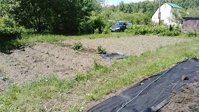 До сих пор высаживаю рассаду томатов, погода не позволяла...... Мой участок и парники с томатами....