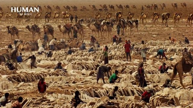 HUMAN's Musics A film by Yann Arthus Bertrand Composed by Armand Amar