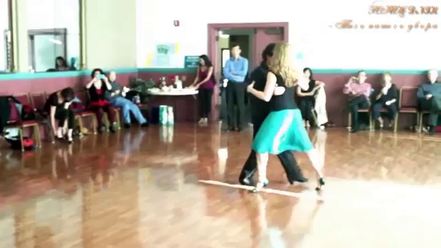 Tango our yard (Tango)