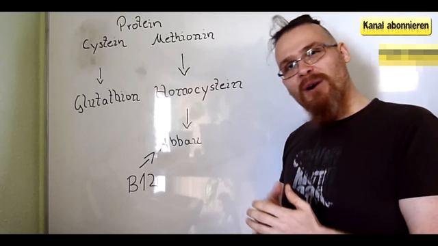 Pflanzliches Protein oder Tierisches Eiweiß?