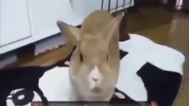 Кагда увидел голую бабушку
