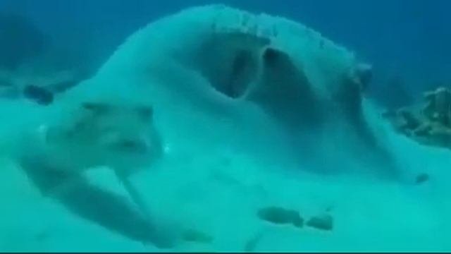 ПОДОЗРИТЕЛЬНАЯ РЫБА