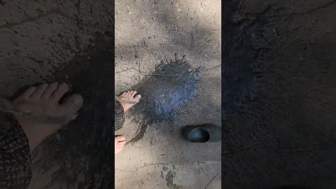 За грибами на луазе