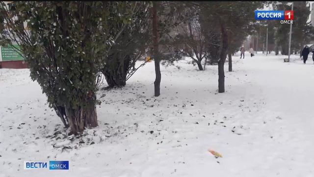 В Омске убрали шинную свалку на Заречном бульваре