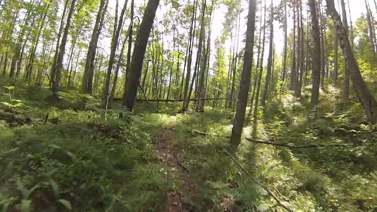 Tour De Toksovo, 3 этап, 17 августа 2014