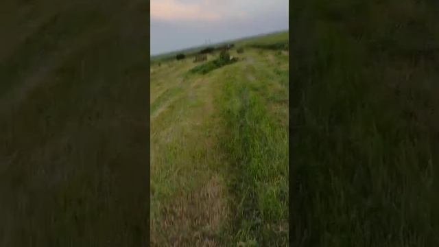 Возим сено, небольшие проблемы с погрузкой.