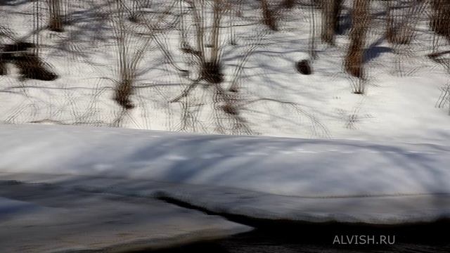 Весна на каньоне реки Лава