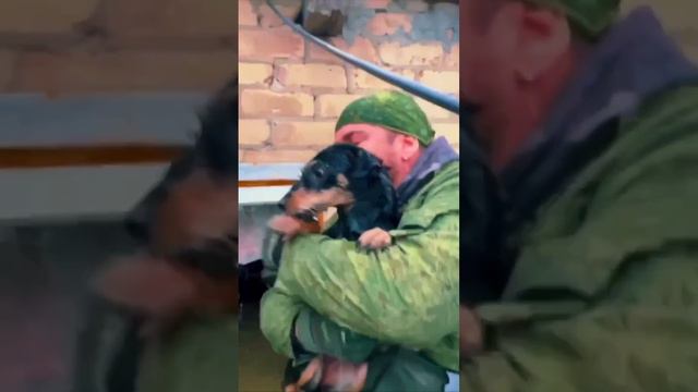 Мужики спасли пёселя из затопленного дома в пригороде Оренбурга после наводнения.
