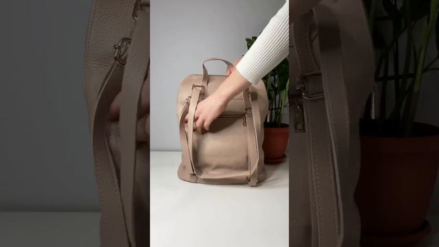 Обзор женской сумки-рюкзака #delone027
