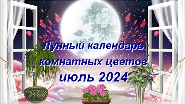 Лунный календарь комнатных растений и цветов на июль 2024 года