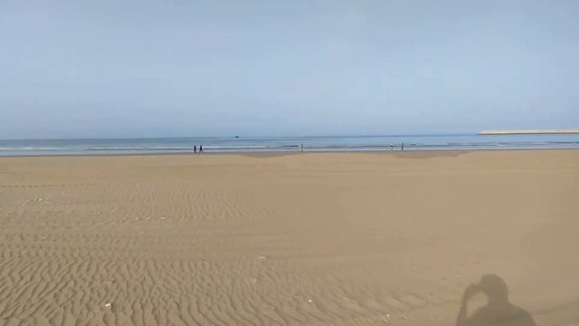 garrett ace 150 beach