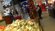 РОШЕН. Фирменный магазин конфет и шоколада в Киеве.