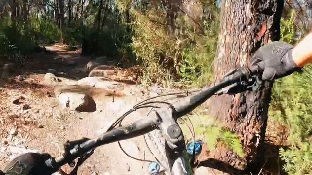 Deep Creek Narrabeen - Happy Ending Trail on a Giant Trance X 2 MTB