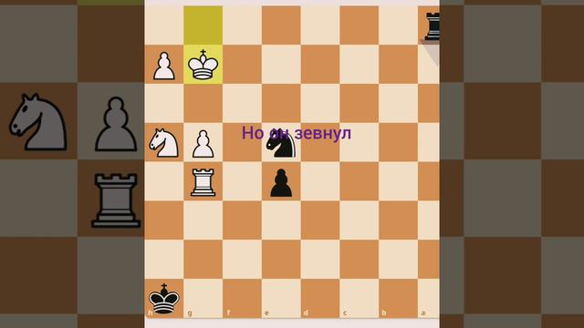 шахматы chess шыдыра