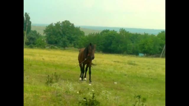 Психоделия завтрашнего дня. В_поисках_Нэмо.