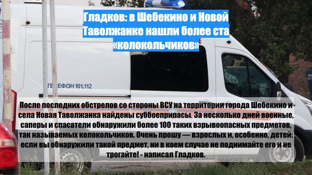 Гладков: в Шебекино и Новой Таволжанке нашли более ста «колокольчиков»