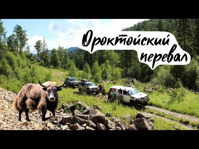 Алтай 2020 СЕРИЯ#4 С Чемальского тракта на Чуйский через Ороктойский перевал / База в Усть-Коксе