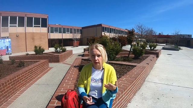 Школьное образование в США. Особенности американской системы школьного образования.
