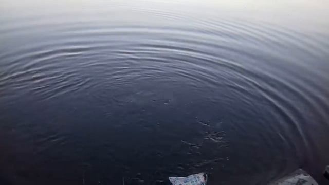 Баровковский пляж  ловит на донку город Пугачёв