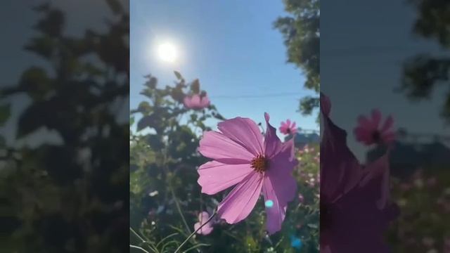 Relaxing piano music 10 minutes