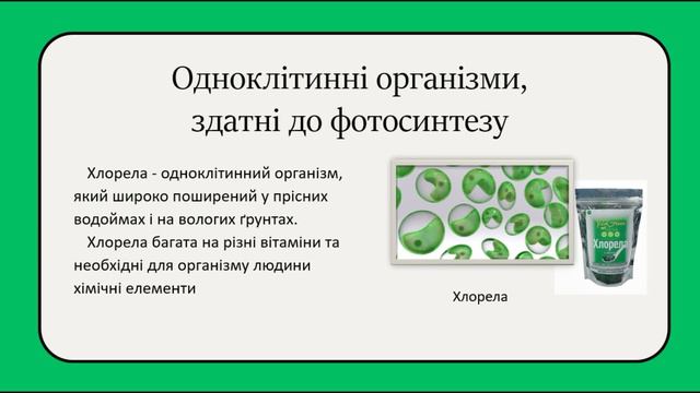 Невидимий світ живої природи. Одноклітинні організми