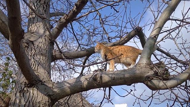 Ну-с, какие сюрпризы нас ждут-с... Любопытненько!