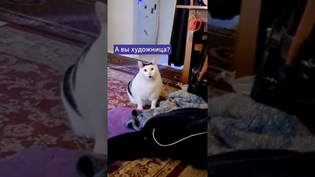 Можно мне мантию невидимку, пожалуйста?! #shorts