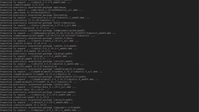 Selenium with Chrome and Python3 in Docker