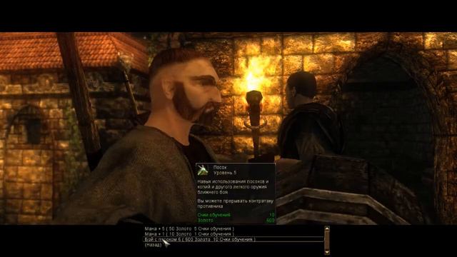 RISEN 36 Отважный рыцарь в сияющей    шапке Слепое прохождение Без смертей