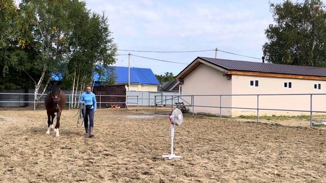 Летко Людмила. 19 поток. Основы на земле. Домашнее задание 4