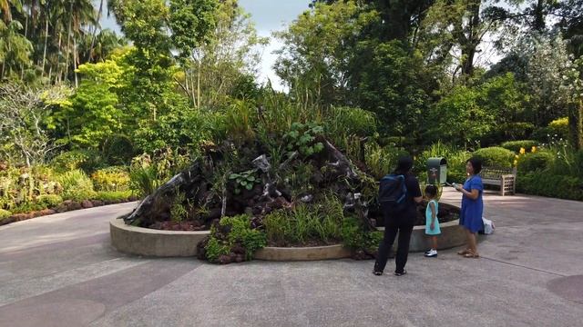 4K Nature Walk : UNESCO World Heritage Site : National Orchid Garden in Singapore Botanic Gardens