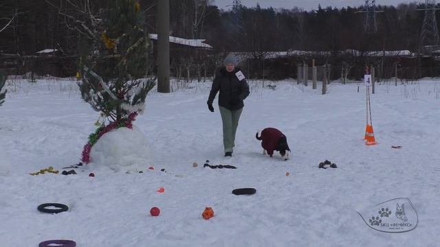 05.01.2023 г. "Большие гонки" / Ника