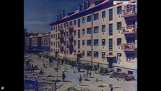 Сосны заглядваюць у вокны. Наваполацк. 1968 год. 4К, у колеры.