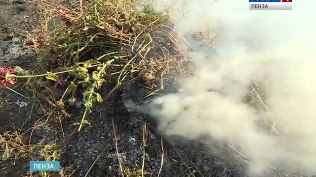 Сотрудники МЧС рассказали пензенцам, как обезопасить собственную жизнь