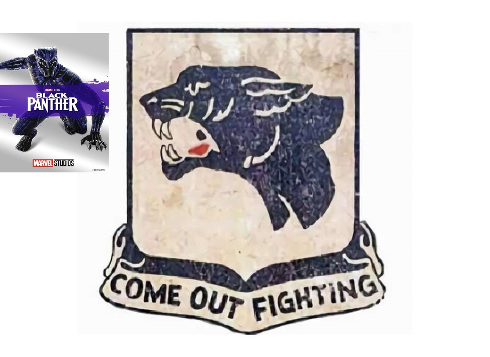 Чёрные пантеры. Первые в истории чернокожие танкисты. 761 батальон в бою во Франции, 1944 год