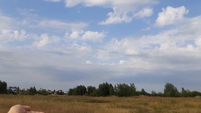 Выпускаем стрижей после выкармливания