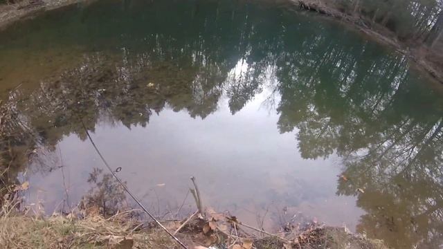 catch TROUT with the (berkley) gulp minnow