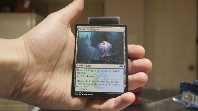 Black Friday Magic The Gathering Deal - Ravnica Allegiance Pre Release Kit Azorius Opening
