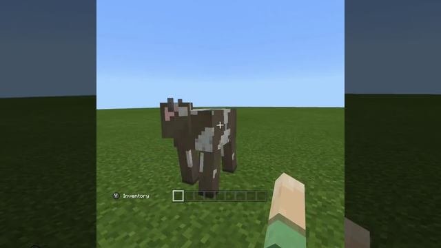 Minecraft Gear VR